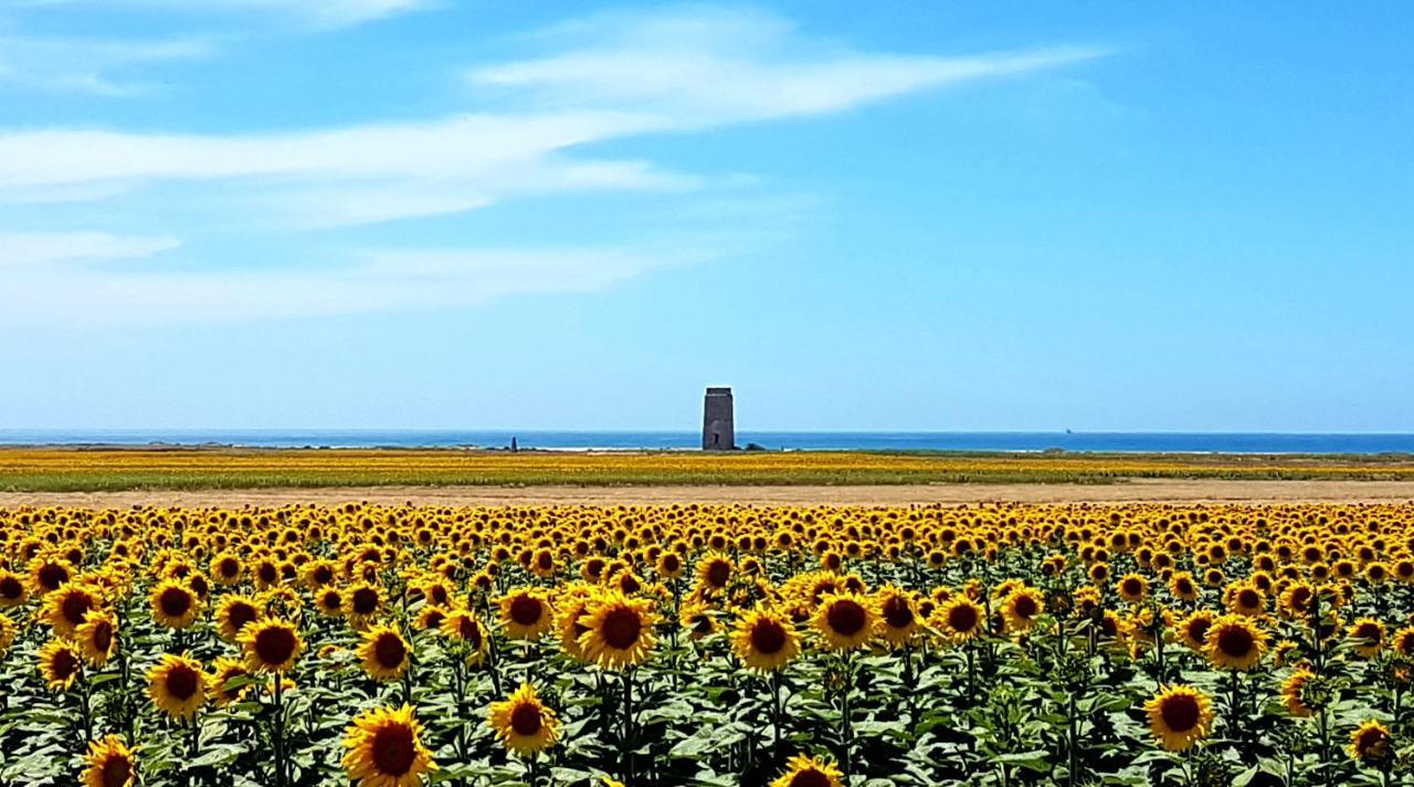 Apartamentos El Arrecife Conil De La Frontera Exteriör bild