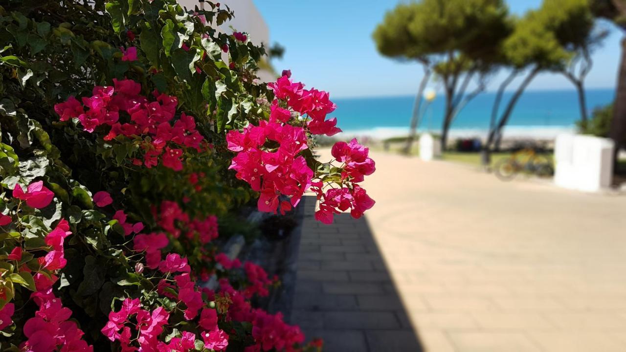 Apartamentos El Arrecife Conil De La Frontera Exteriör bild